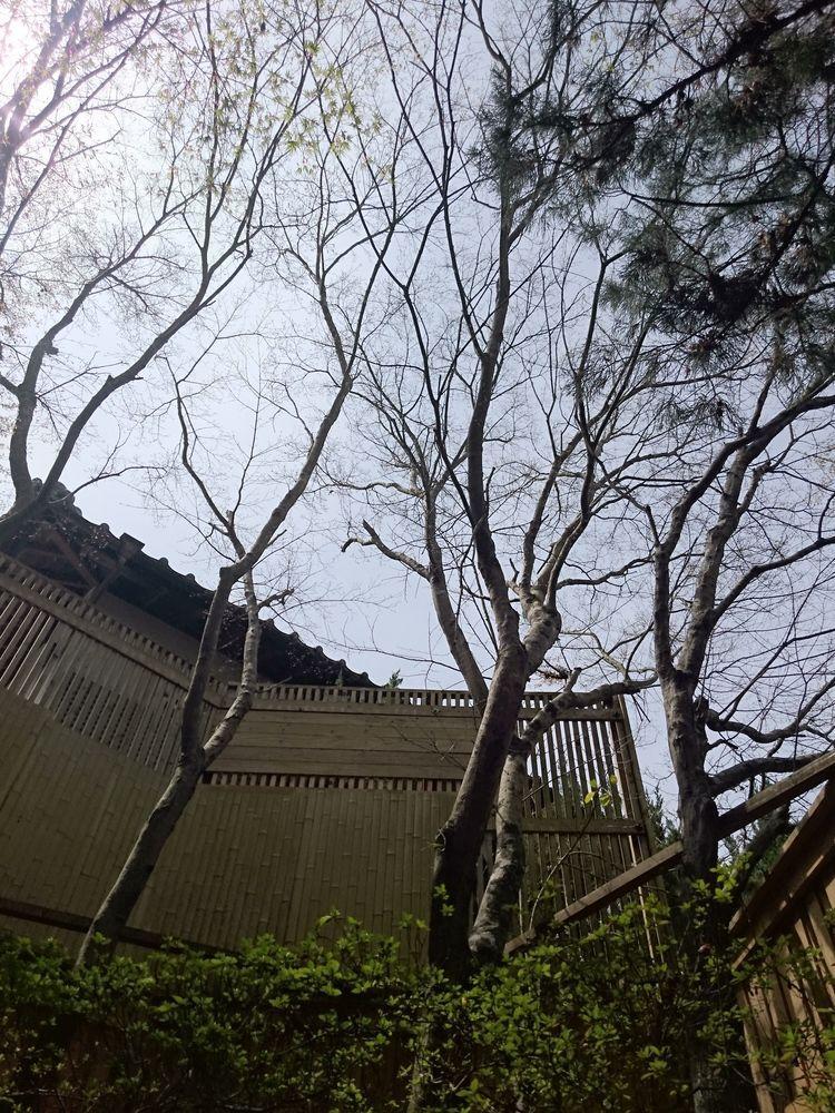 יופו La Maison De David מראה חיצוני תמונה