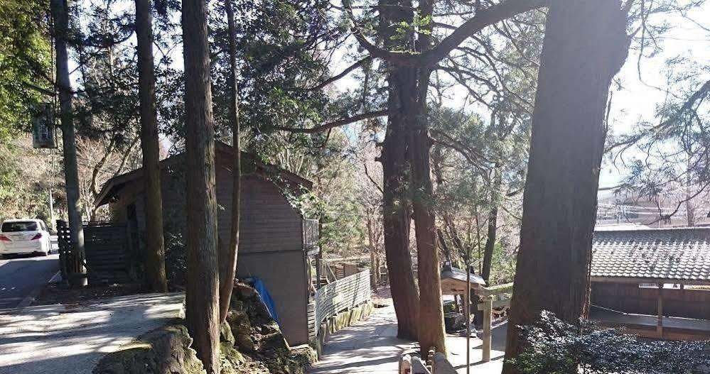 יופו La Maison De David מראה חיצוני תמונה